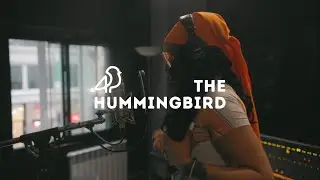 Hummingbird Sessions 027 - T SEXIE