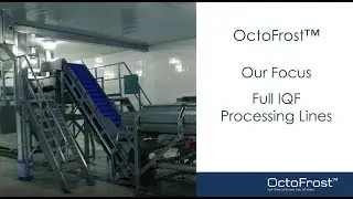 About OctoFrost &ndash; Our Focus: Complete IQF Processing Lines