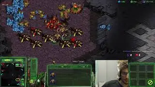 A Rank Zerg ladder