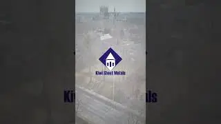 Short Paisley Video