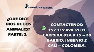 ¿QUÉ DICE DIOS DE LOS ANIMALES PARTE 2?