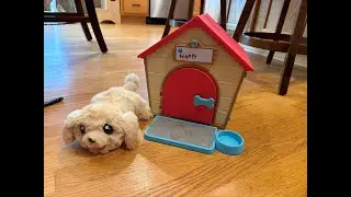 Detailed Review of Little Live Pets Puppy House with Surprise Puppy