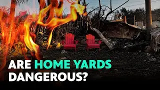 Goodbye Plants, Hello Fire Safety