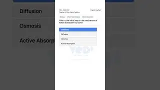 12th Biology Plant Water Relation Water Absorption Mechanism