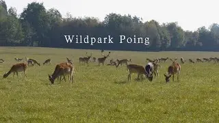 Wildpark Poing   -Sommer 2024-