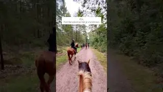 Goed recept voor chaos 🥲 #paarden #paardenvakantie #vriendinnen #bokken #chaos #fail