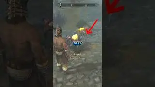 Skyrim: Лучший питомец в игре #gaming #gamingchannel #skyrim #youtube