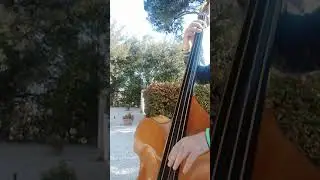 Framus '50 german double bass
