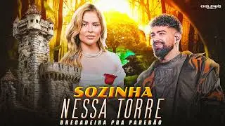 SINA DE OF&Eacute;LIA - Sozinha Nessa Torre (Bregadeira Pra Pared&atilde;o) 🔥🔊