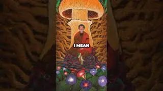 How much DMT did he smoke!? Mckenna #DMT