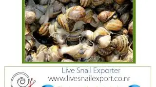 Importeur Gro&szlig;handel Lieferanten Schnecke Hagen
