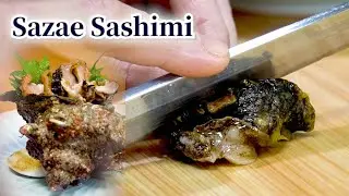 [Sashimi] How to Make Horned Turban (Sazae) Sashimi