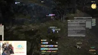 Botting in North Shroud