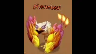 pheonixsc