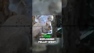 Бум 💥 #шорты