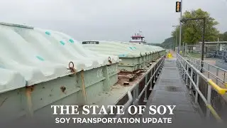 Soybean transportation update and victories
