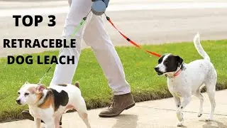 TOP 3: Best Dog Leash with Comfortable Padded Handle 2021 | Perfect for Walking, Training outside