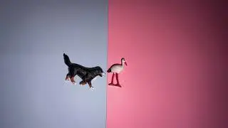 Vogelfutter