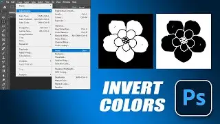 How to invert the color in photoshop