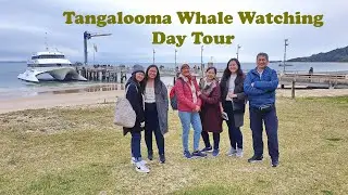 Tangalooma Whale Watching Day Tour