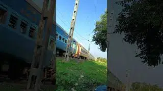 Ultimate High-Speed Train Crossing Compilation!