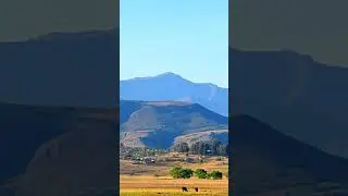 Beautiful natural features, Mariazel, Eastern Cape. #localnature #explore #naturereserve #satourism