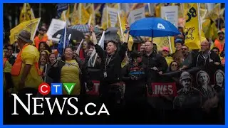 BCGEU strike impacting residents, restaurants as liquor supplies are drying up