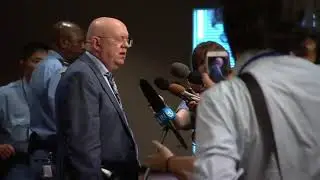 JAPAN and RUSSIA'S UN Ambassadors Explains North Korean DECISIONS