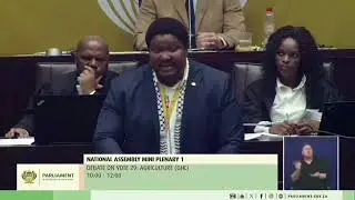 United Africans Transformation President Dr Lehlohonolo Wonderboy Mahlatsi in Parliament. 