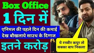 Animal Box Office Collection | Animal First Day Box Office Collection | Animal Day 1 Collection