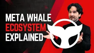 Meta Whale Ecosystem - What Kind of Project Is It?