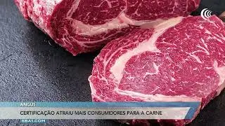 Certificação atraiu mais consumidores para a carne angus no Brasil