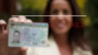 Que es el PROCESO CONSULAR?