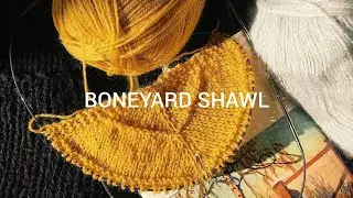 Начало работы над шалью «Boneyard» | Вязание шали: закончу ли я её? | Вязание от Джулии, эпизод 1