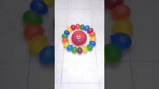 Wow Water Balloons Pop #asmr #balloon #satisfying