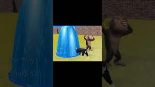 #animals #wildanimalgames #animalcartoon #cartoon #animalsmatchinggame #animalsgames #funny #animalk