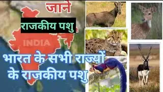 Rajyon ke rajkeeya pashu ||state animal of state 