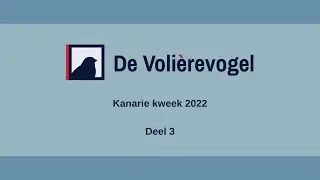 Kanarie kweek 2022 deel 3