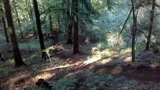 2T VS 4T RACE TO HILL!