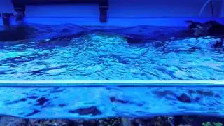 Test vortech mp40 pulse mode