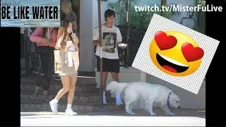 Cameron Dallas's DOG & Girlfriend are ADORABLE!!! Your Thoughts?
