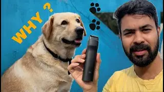 Shaving my dog's hair because of skin problem in Telugu | Telugu Vlog | Labrador | dog skin problem