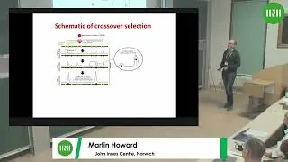 Prof. Martin Howard | Diffusion-mediated coarsening can explain meiotic crossover interference