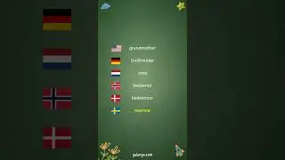 How similar are the Germanic languages? Family edition 👨&zwj;👩&zwj;👧&zwj;👦 #germanic #norwegian #german
