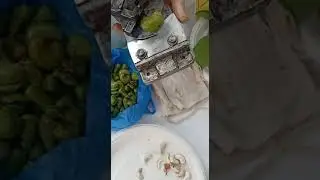 World's first tender cashew (green cashew) cutter machine | Developed By Mr. Uday Kher - 9421554460