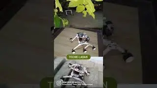 7th shorts || Techie Lagan
