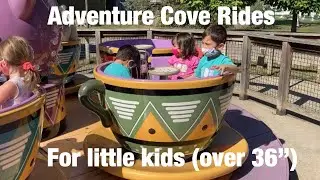 Columbus Zoo: Adventure Cove Rides for little kids (over 36&rdquo;) without adults riding with them