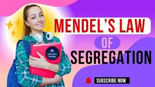 Mendel's law of segregation  #MendelsLaw #Genetics #biology