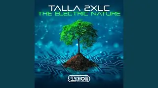 The Electric Nature