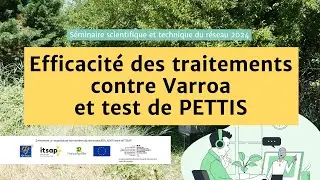 Efficacit&eacute; des traitements contre Varroa et test de PETTIS - S&eacute;minaire du r&eacute;seau ADA-ITSAP &ndash; 2024